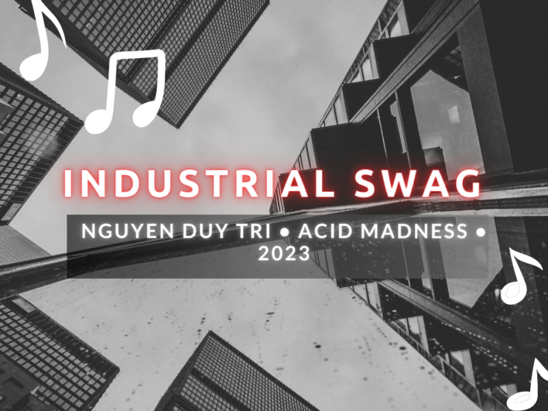 Industrial swag nguyen duy tri • acid madness • 2023